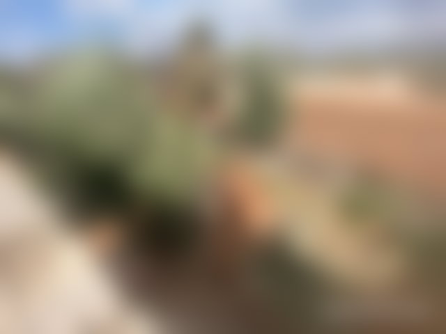 أرض مع مسبح للبيع بطريق أوريكا مراكش — 5