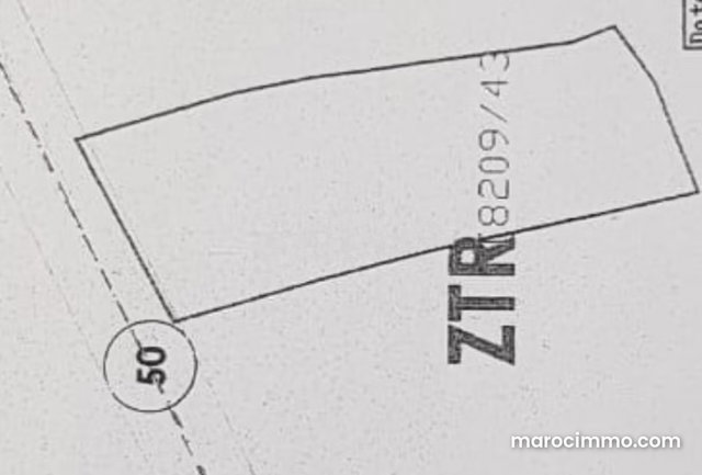 Beau terrain à la vente de 3 hectares 3000 route de Casablanca — 2