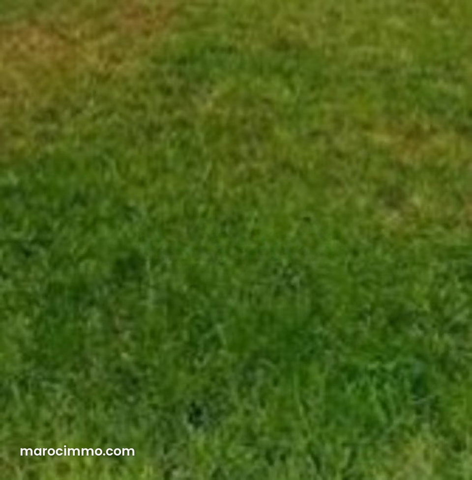 Terrain a vendre