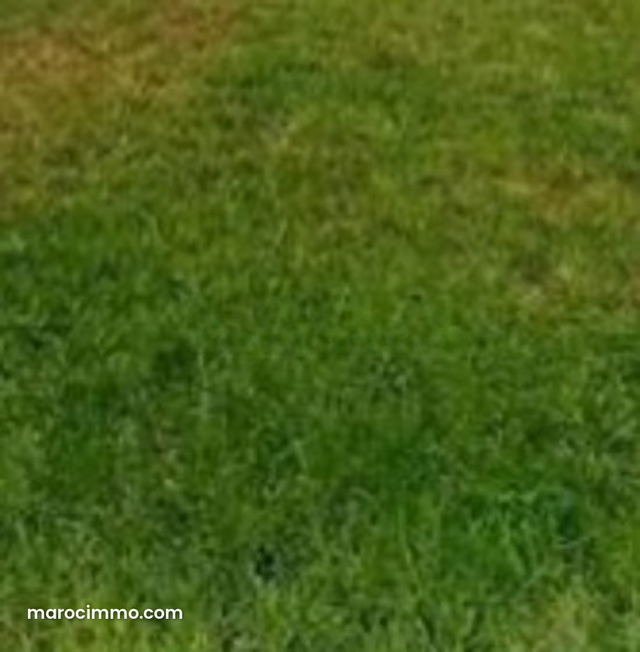 Terrain a vendre — Rabat