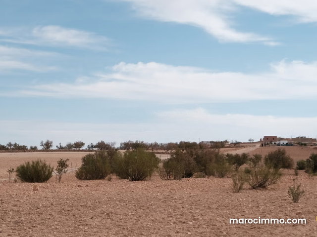Titled Land For Sale in Essaouira Province — 2