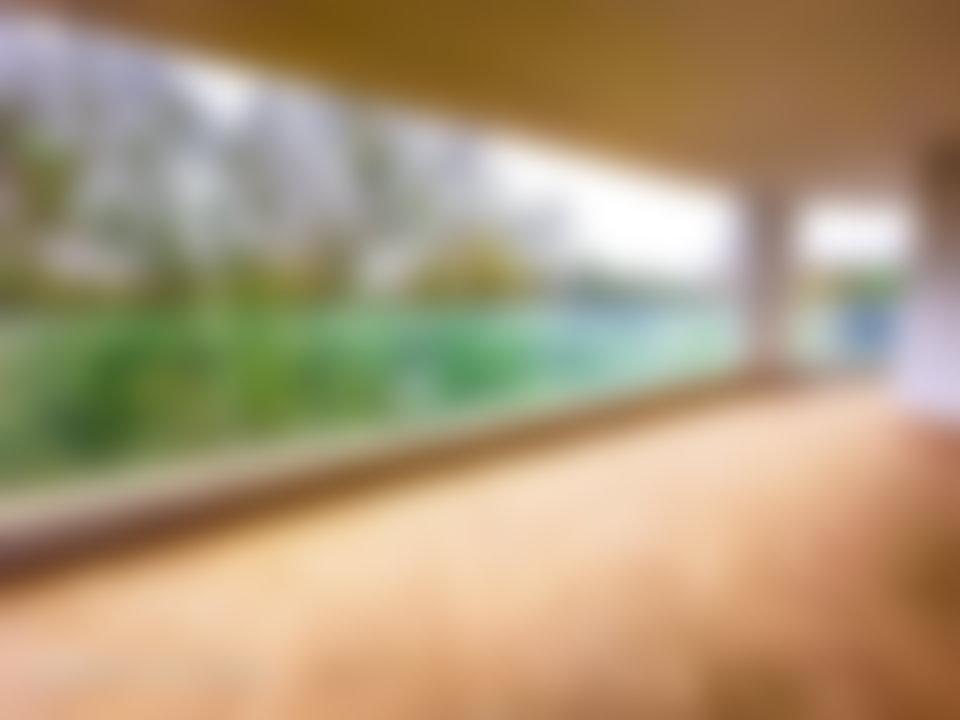 Appartement 280 m², vue forêt, Haut Agdal, Rabat