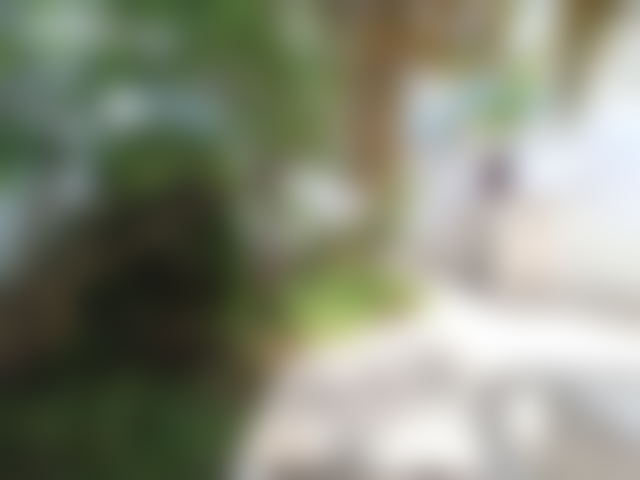 420 m² Villa to Renovate, Polo, Casablanca — Casablanca