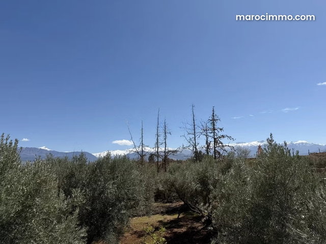 Exceptional Domain on Route de l'Ourika — 2