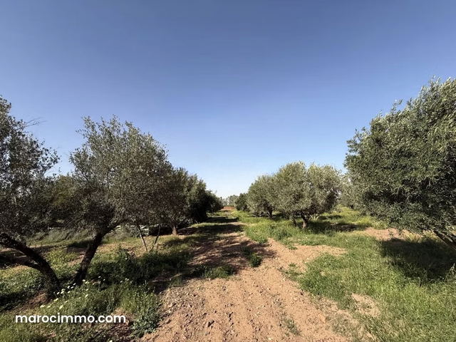Exceptional Domain on Route de l'Ourika — Marrakesh