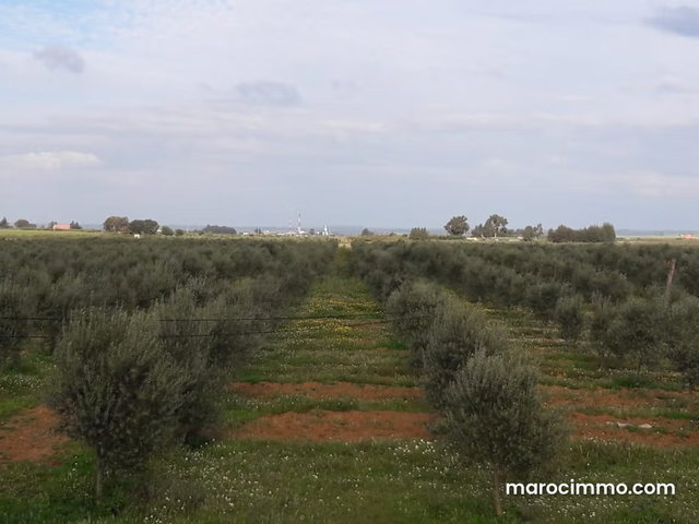 Magnifique ferme de 27 Hectares 4100 m à Shoul en vente — 2