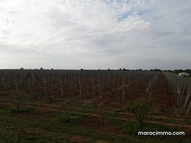 Magnifique ferme de 27 Hectares 4100 m à Shoul en vente — 4
