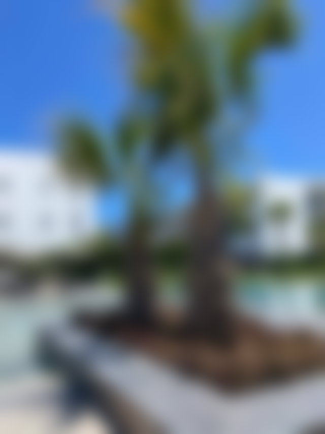 Furnished Apartment with Garden and Terrace in Dar Bouazza — 2