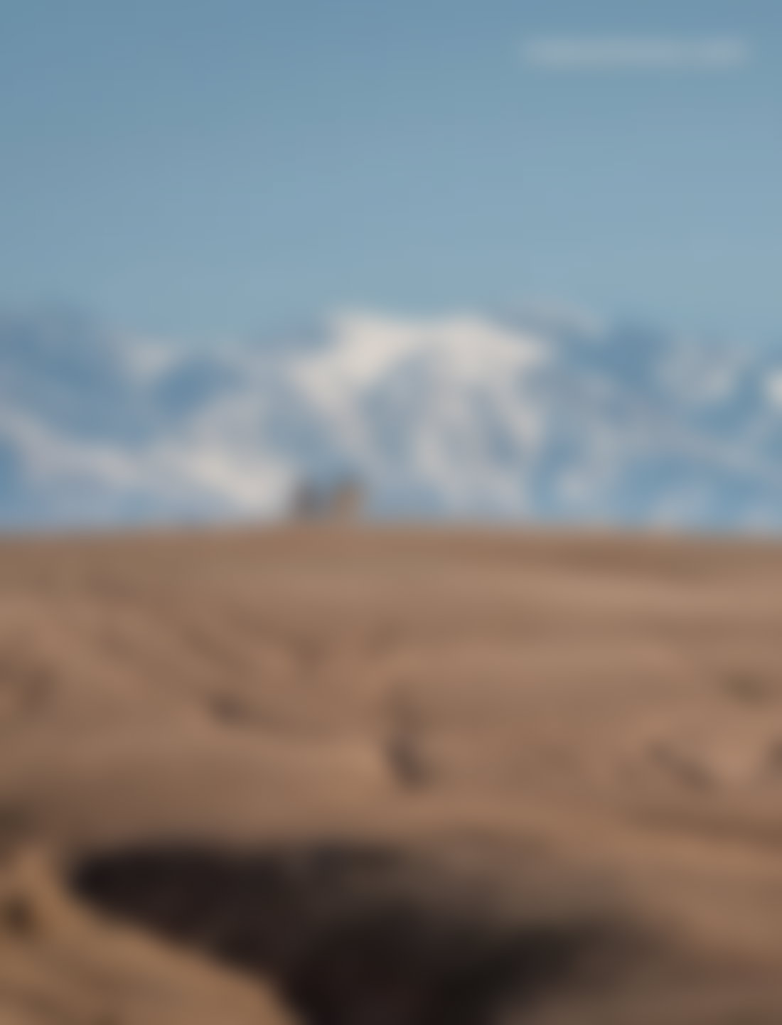 Terrain 1 hectare vue Atlas à vendre Marrakech Amezmiz