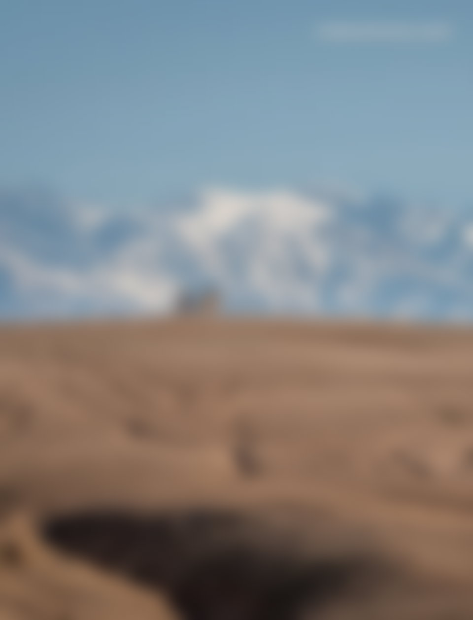 Terrain 1 hectare vue Atlas à vendre Marrakech Amezmiz