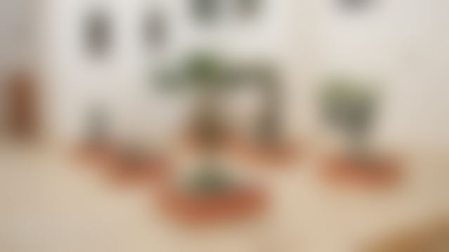شقة بترّاس واسع وإطلالة مفتوحة للبيع في السعيدية — السعيدية