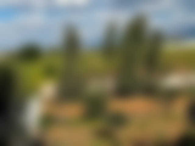 مزرعة مشمسة للبيع على طريق أوريكا في مراكش — 3