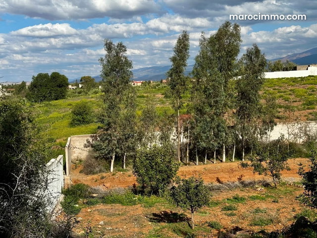 Ferme avec Villa Plain Pied à Vendre à Ghmat – Route de L’Ourika Milkiya — 3