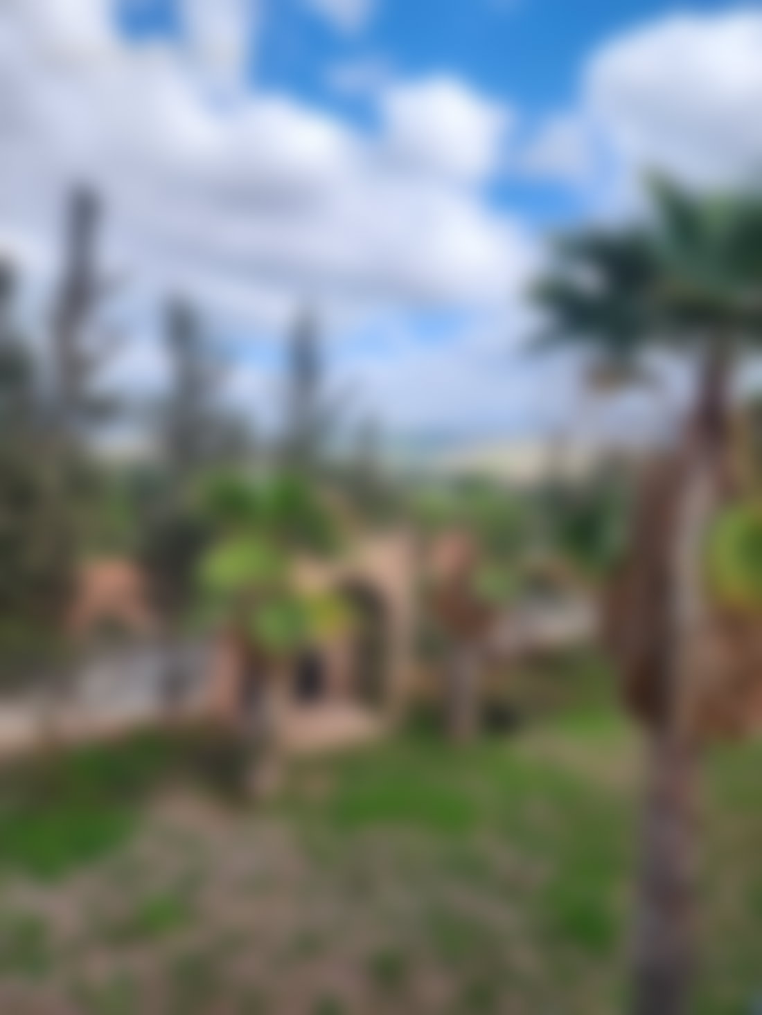 Villa 7000 m² Route d'Ourika, Marrakech, jardin et vue montagne
