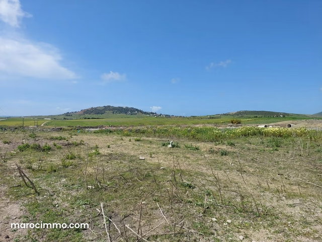 Terrain à vendre 90000 m2 à Route de Rabat — 5