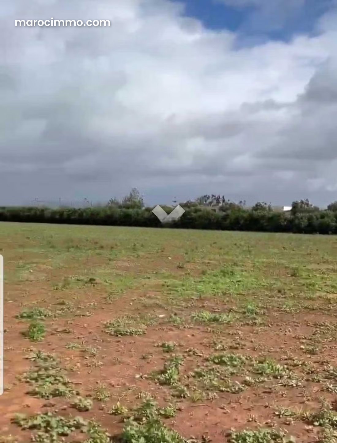 4.3-Hectare Buildable Plot, Nouaceur — Nouaceur