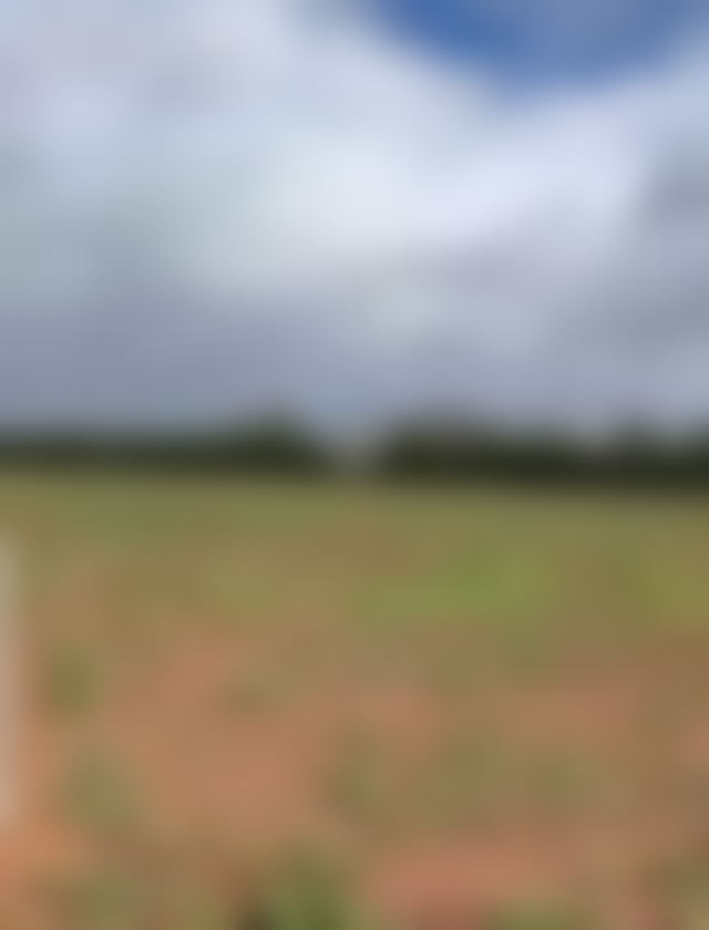4.3-Hectare Buildable Plot, Nouaceur — Nouaceur