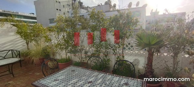 Terrasse plein soleil racine — 2