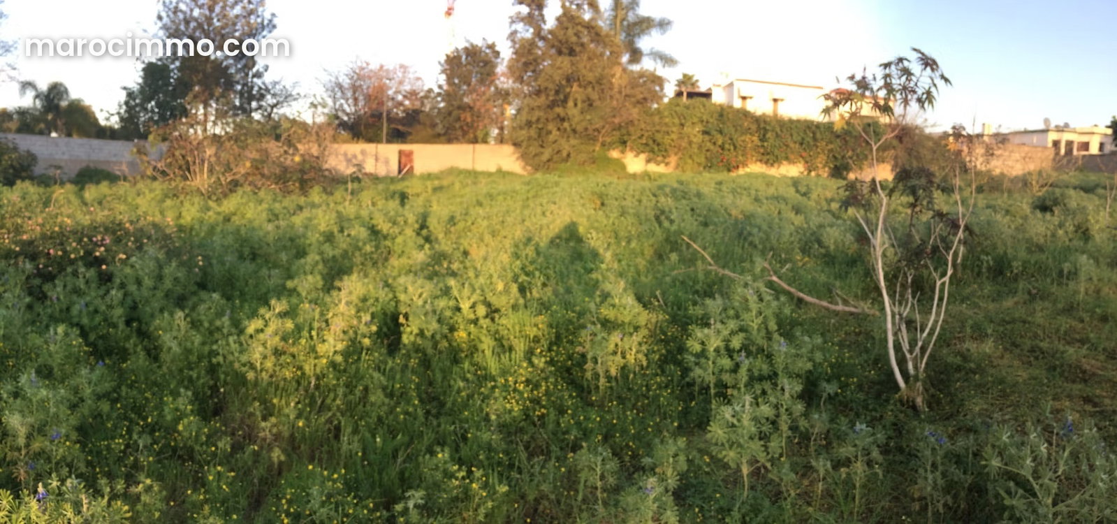 1,950 m² Plot with Dual Frontage, Souissi, Rabat — Rabat