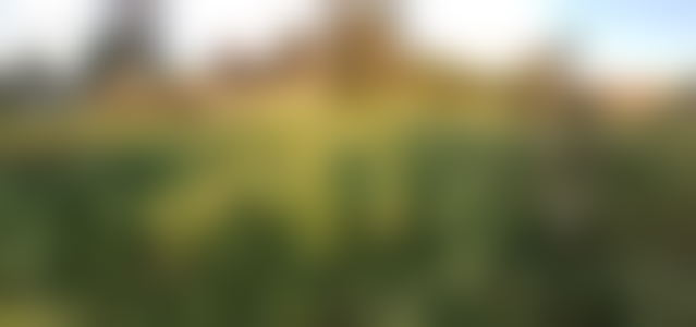 1,950 m² Plot with Dual Frontage, Souissi, Rabat — Rabat