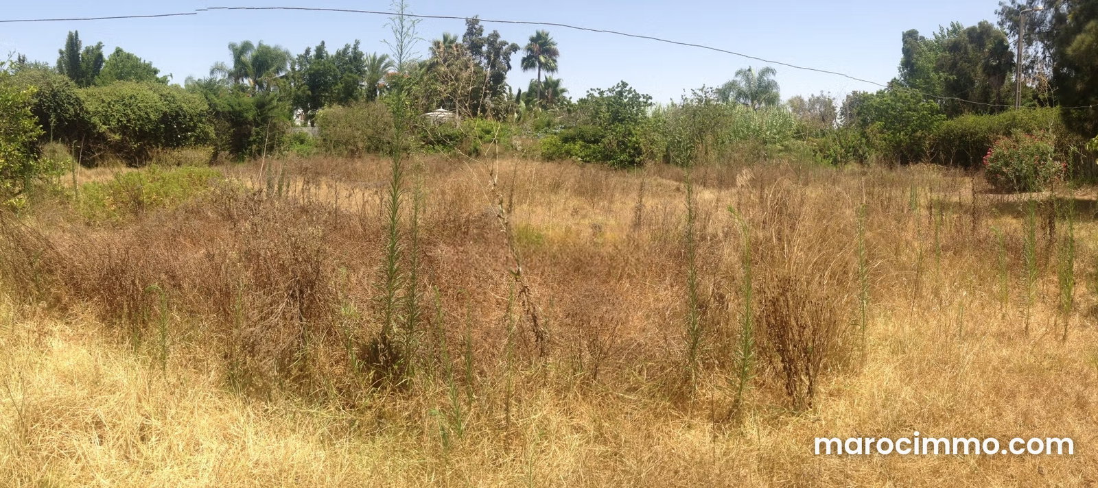Terrain 2000 m² à vendre, Souissi Rabat, quartier de l'Orangeraie — Rabat