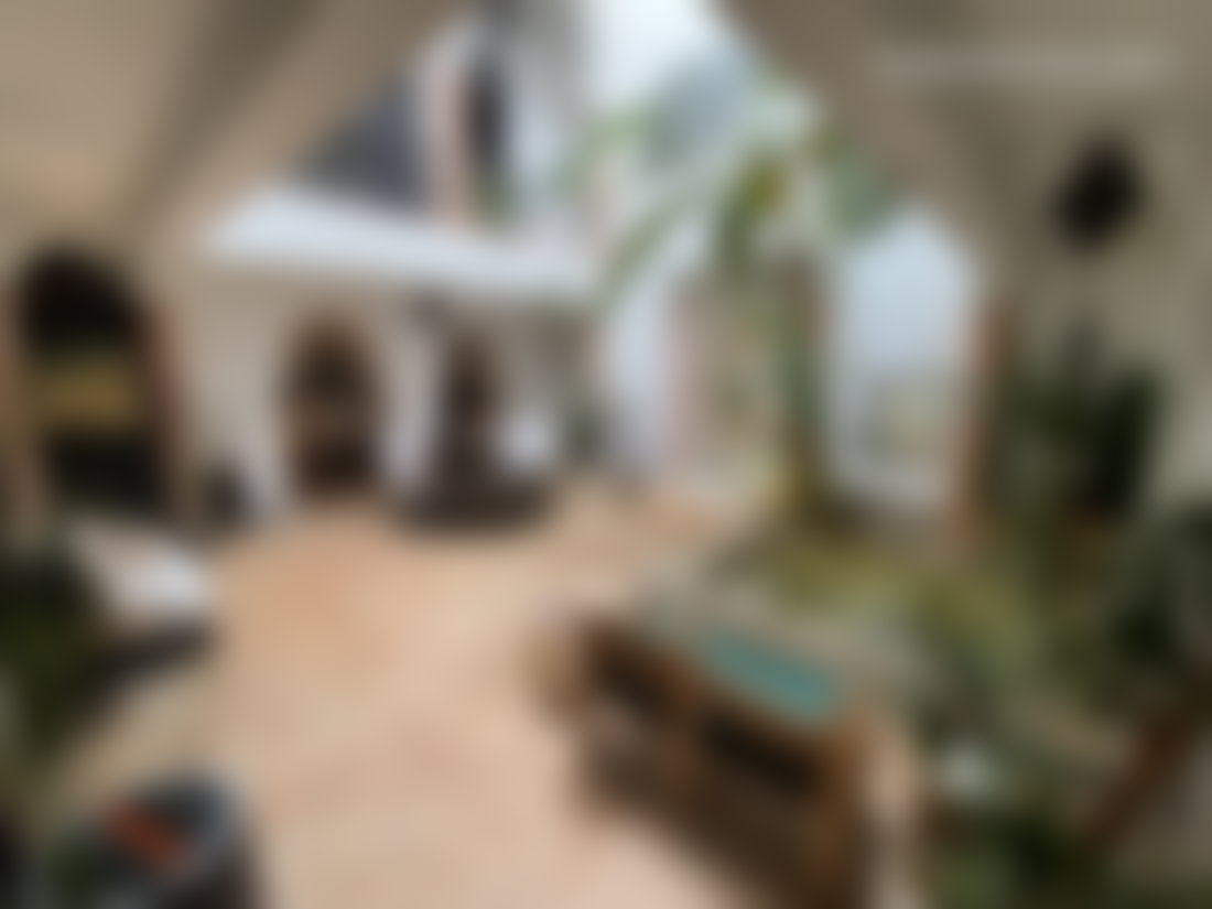 Maison d'hôtes 9 chambres, vue Atlas, Riad Zitoun Marrakech