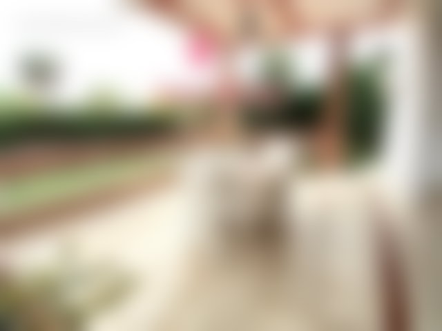 400 sqm villa with garden and valley views, El Menzeh — 5