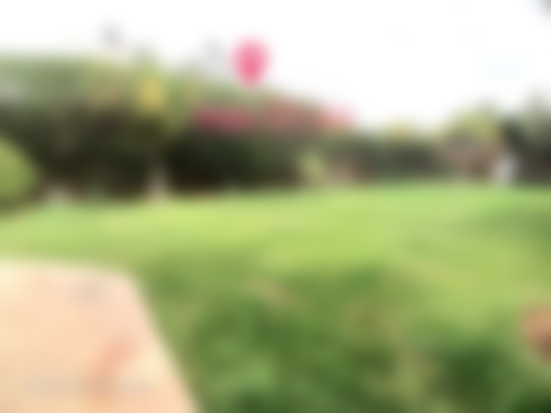 400 sqm villa with garden and valley views, El Menzeh