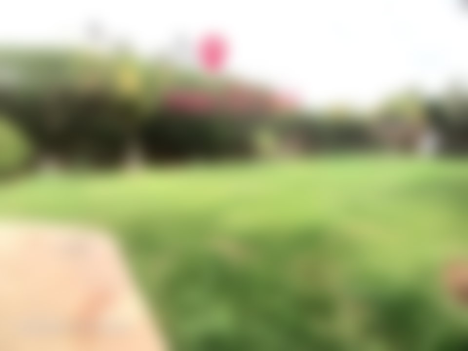 400 sqm villa with garden and valley views, El Menzeh