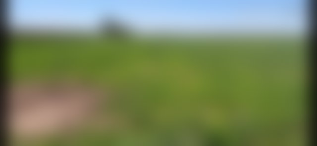 Terrain de 3,84 ha à vendre, Route de Tahanaoute, Marrakech — 5