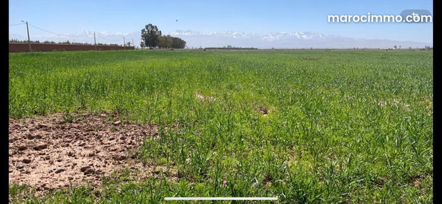 Terrain en vente veg projet de 14 villa à Route de Tahanaout. Surface de 38400 m² — 5