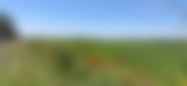 Terrain de 3,84 ha à vendre, Route de Tahanaoute, Marrakech — 4
