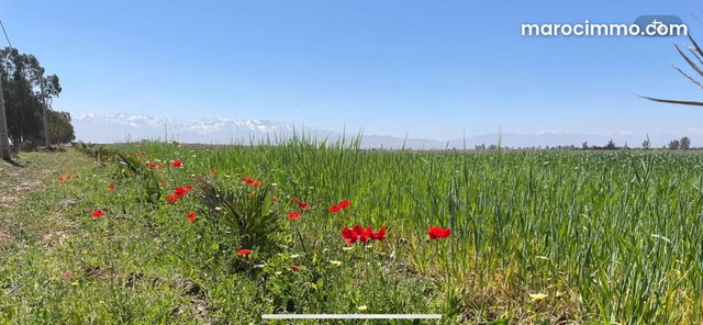 Terrain en vente veg projet de 14 villa à Route de Tahanaout. Surface de 38400 m² — 4