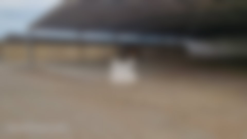 مساحة تجارية شاسعة للبيع بوسط بوسكورة