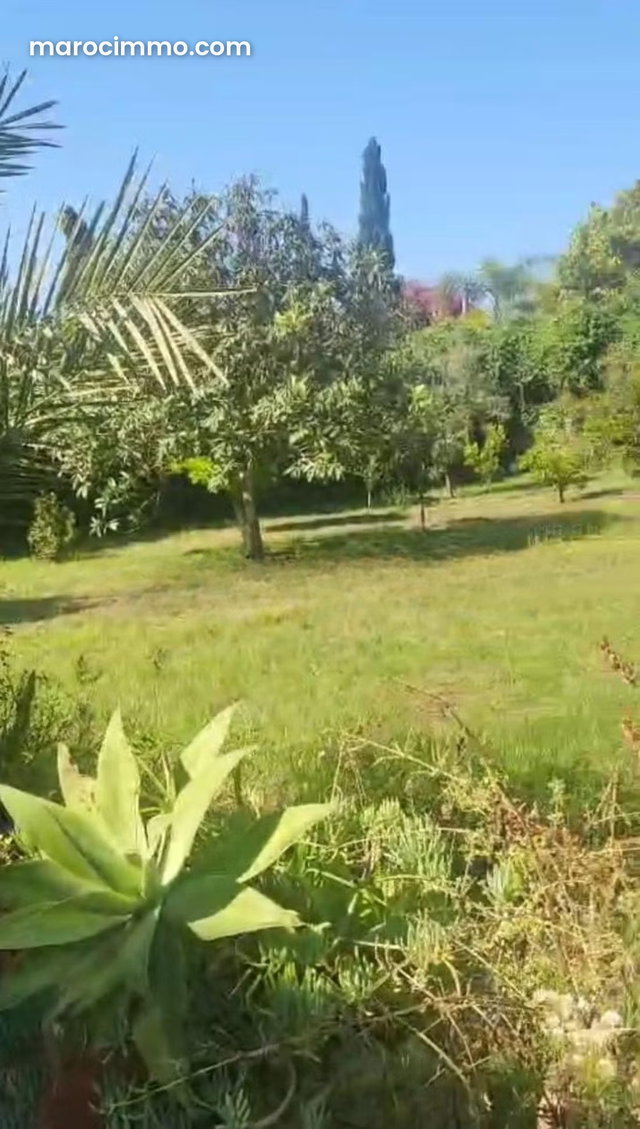 Villa à vendre 1770 m² – Quartier Souissi, Rabat — 3