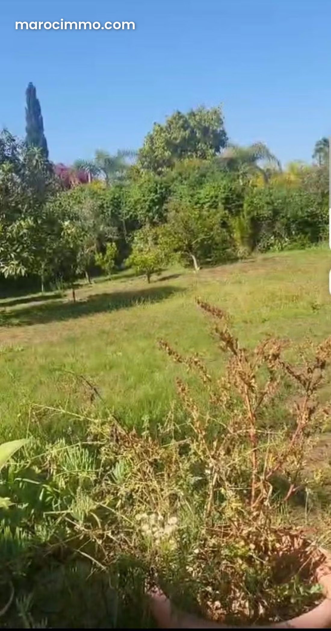 Villa 600 m² sur 1770 m² de terrain, Souissi, Rabat, à rénover — Rabat