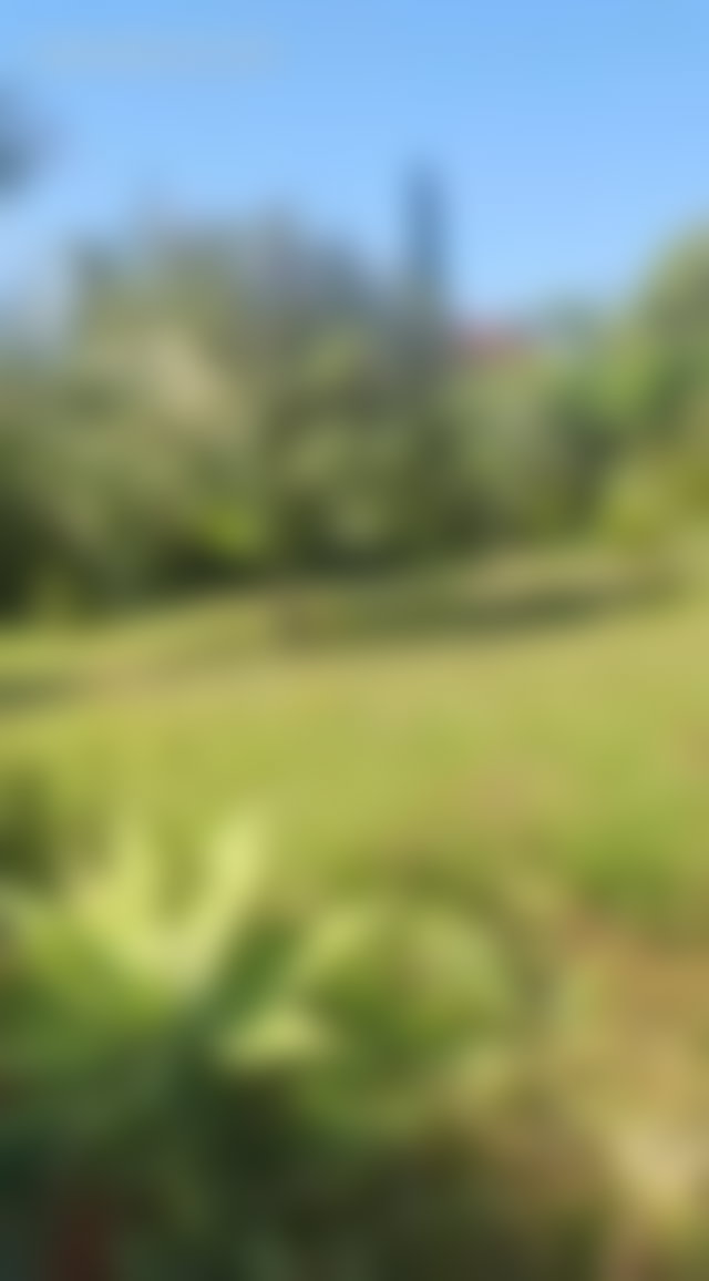 600 m² Villa on a 1,770 m² Plot, Souissi, Rabat, in Need of Renovation — 4