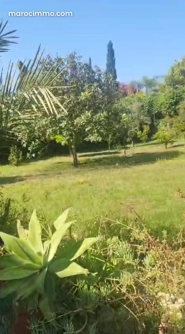 Villa à vendre 1770 m² – Quartier Souissi, Rabat — 4