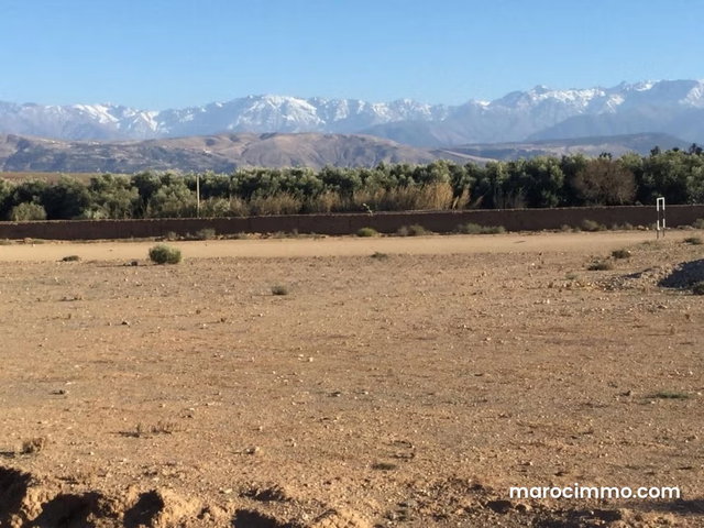 Un terrain de 7 hectares titrés SD2 à vendre — 2