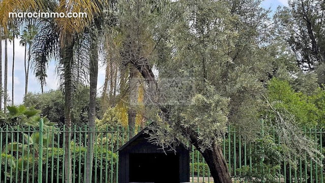 Apartment along El Harti Garden — 2