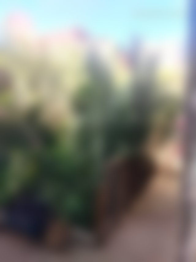 دار تقليدية رحبة للبيع بحي Les Portes de Marrakech — 4