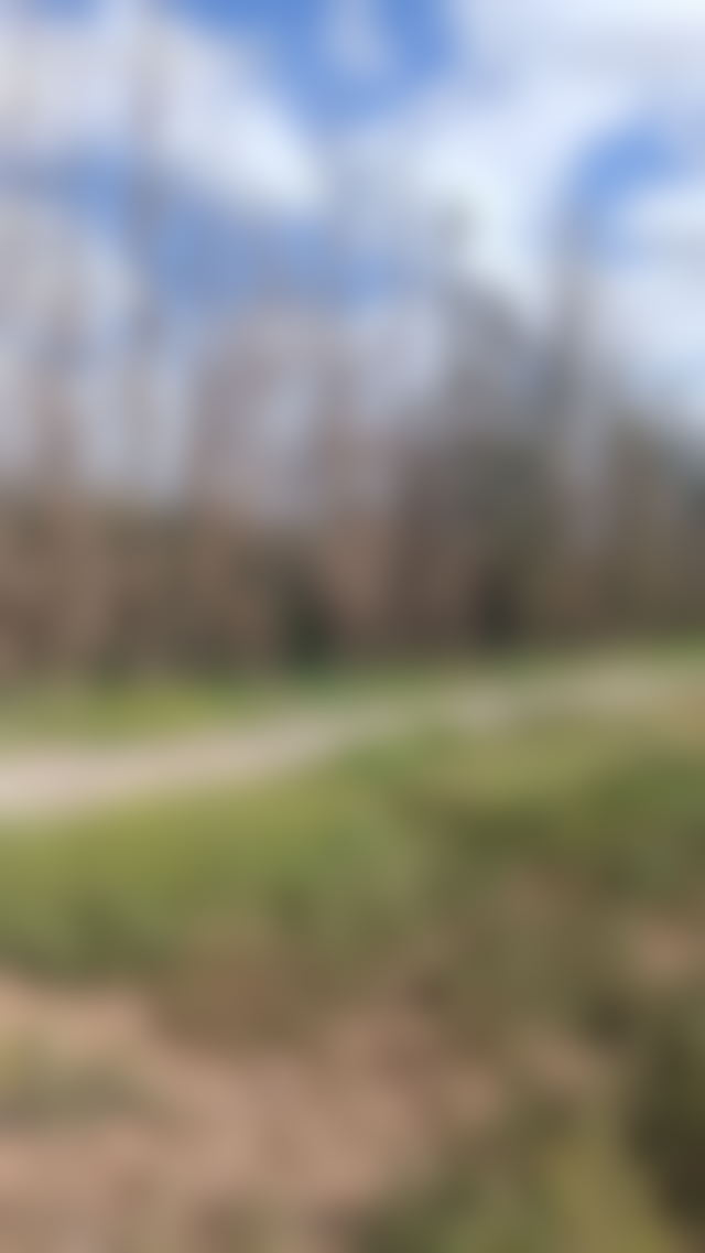 11-Hectare Titled Plot on the Ourika Road, Marrakech, Tourism Project — Marrakesh
