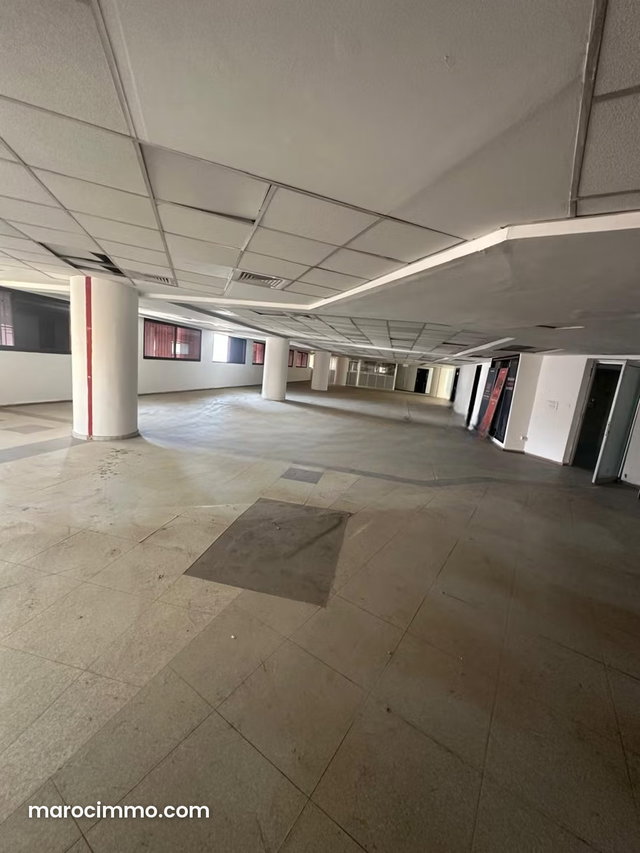 Plateau de bureau de 662 m² – Sidi Belyout — 3