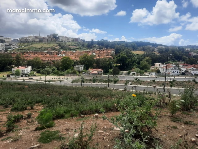 Terrain Avendre 500 m2 Jbel kbir — 3
