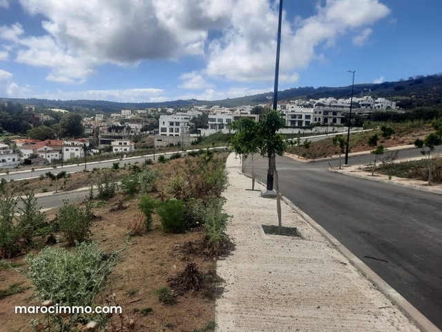 Terrain Avendre 500 m2 Jbel kbir — 2