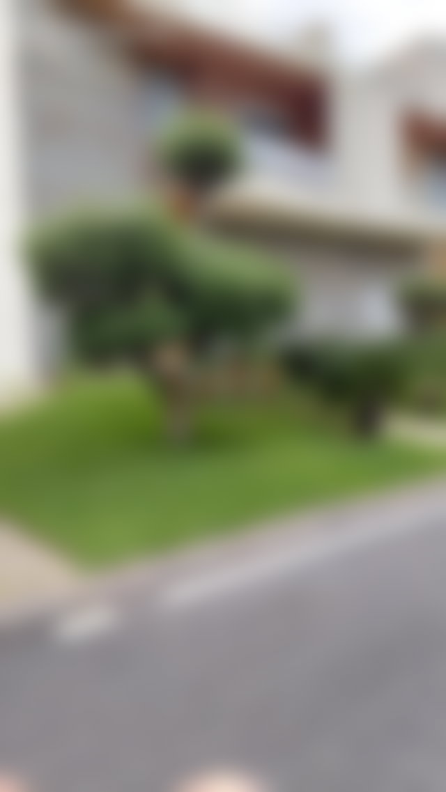 Villa 444 m², piscine et jardin arboré, Dar Bouazza — 2