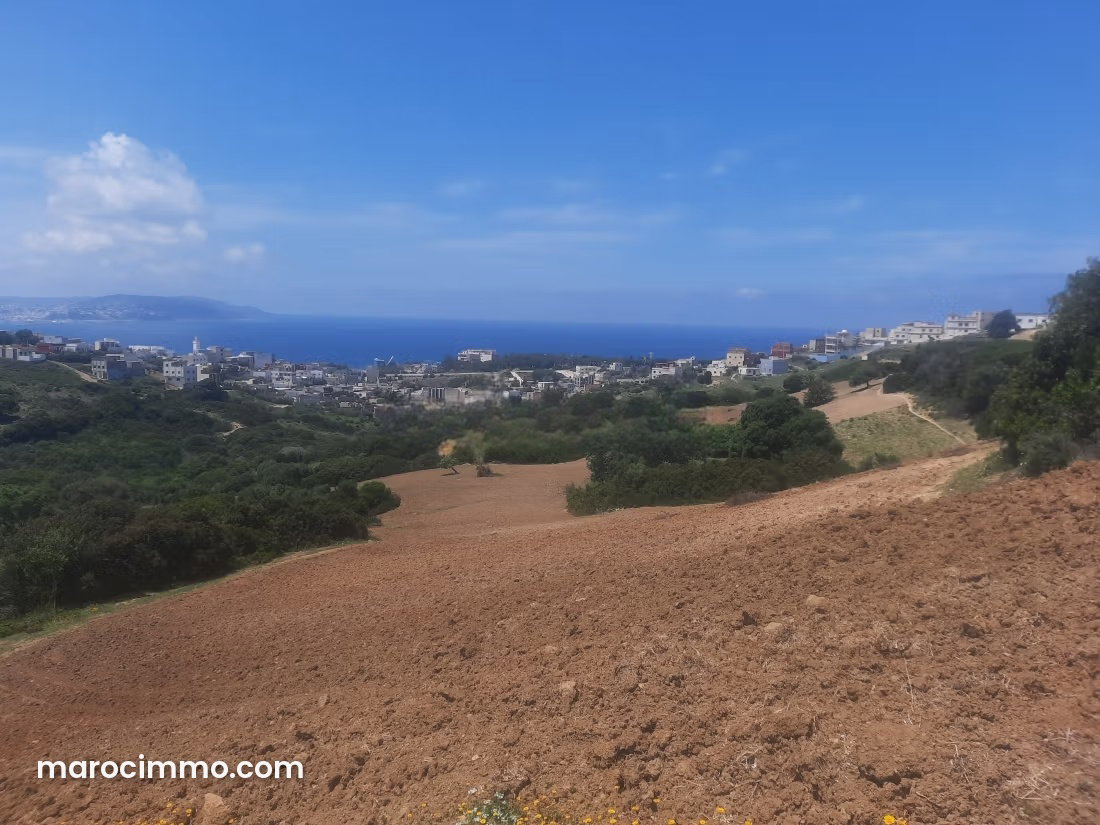 أرض استثمارية مرخَّصة للبيع في سانية طنجة — طنجة