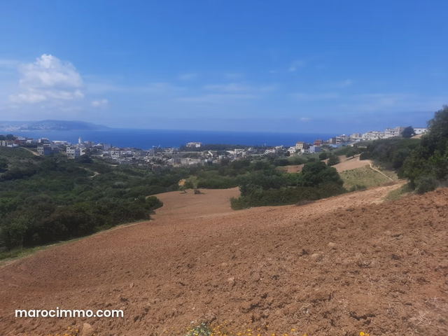 Terrain Avendre 2 hectar menar — طنجة