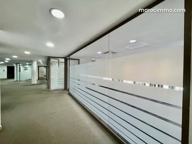 Plateau de bureau 228 m² Quartier Racine — 2