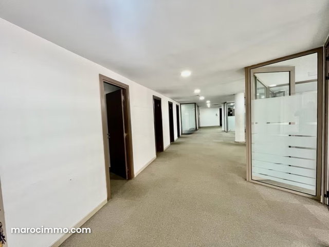 Plateau de bureau 228 m² Quartier Racine — 4